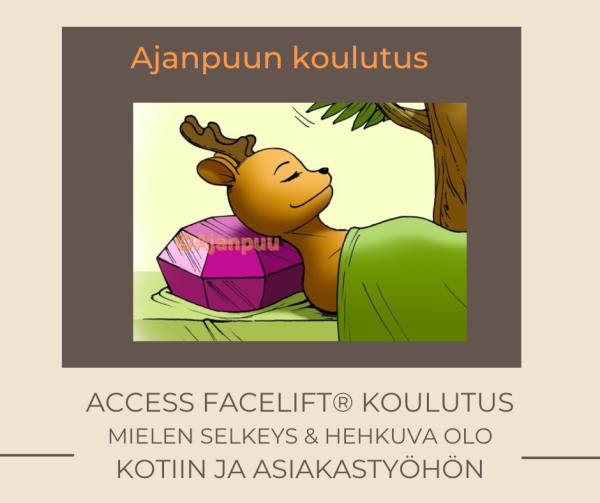 Access Facelift koulutus